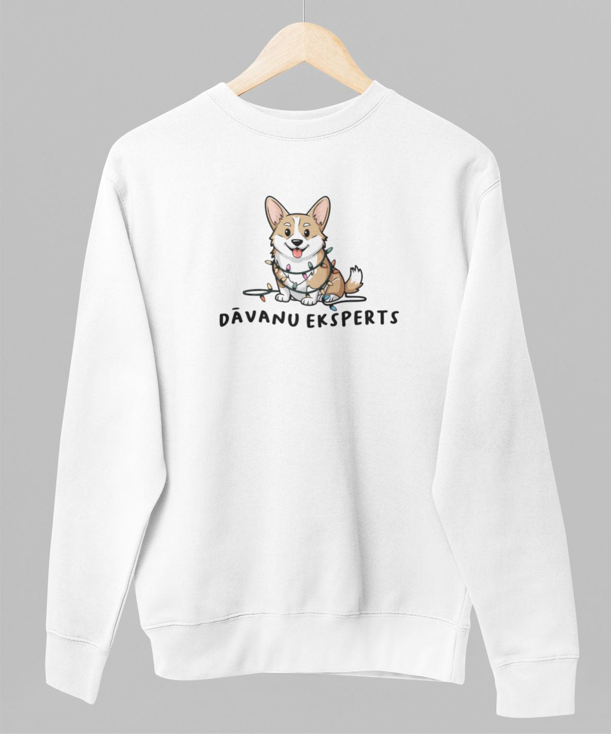 Balts UNISEX džemperis bez kapuces "Dāvanu eksperts"