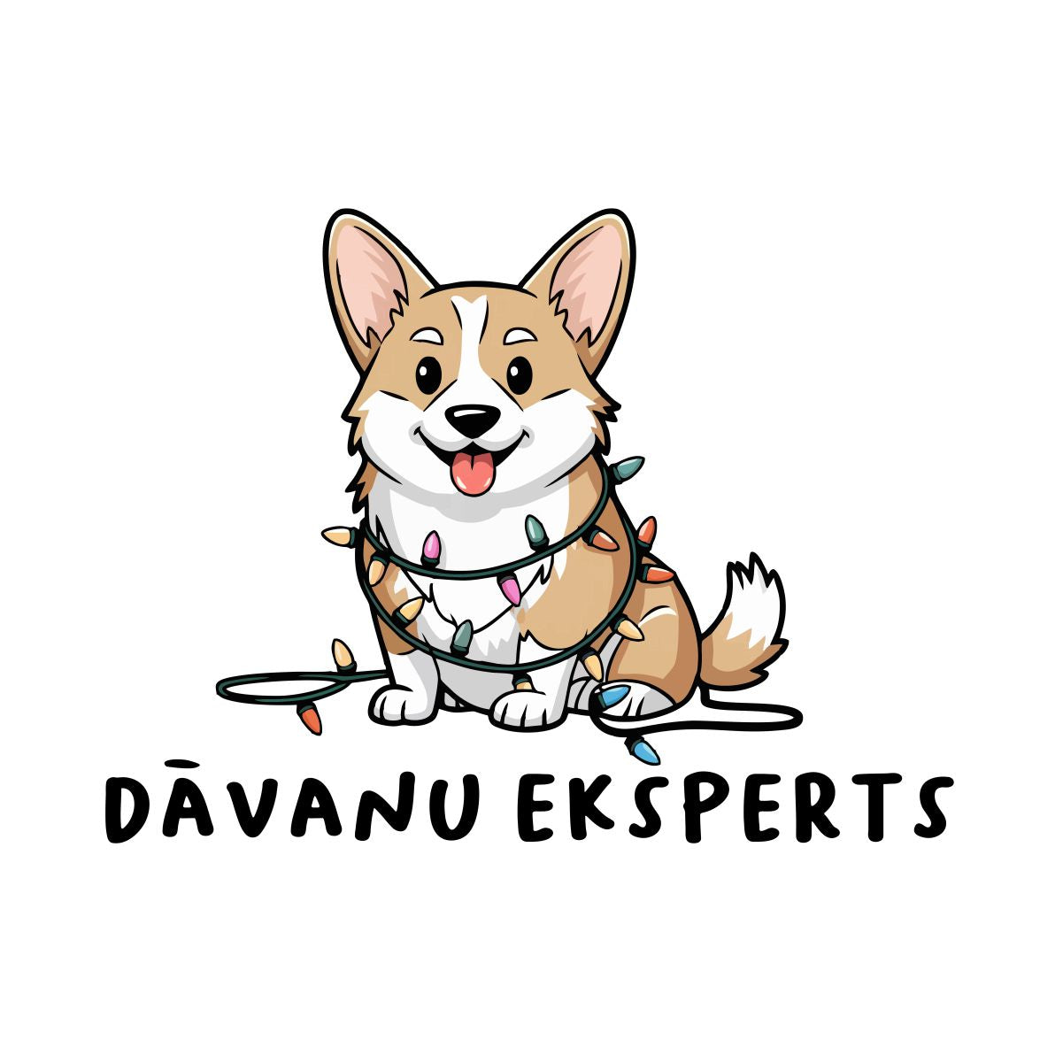 Balts UNISEX džemperis bez kapuces "Dāvanu eksperts"