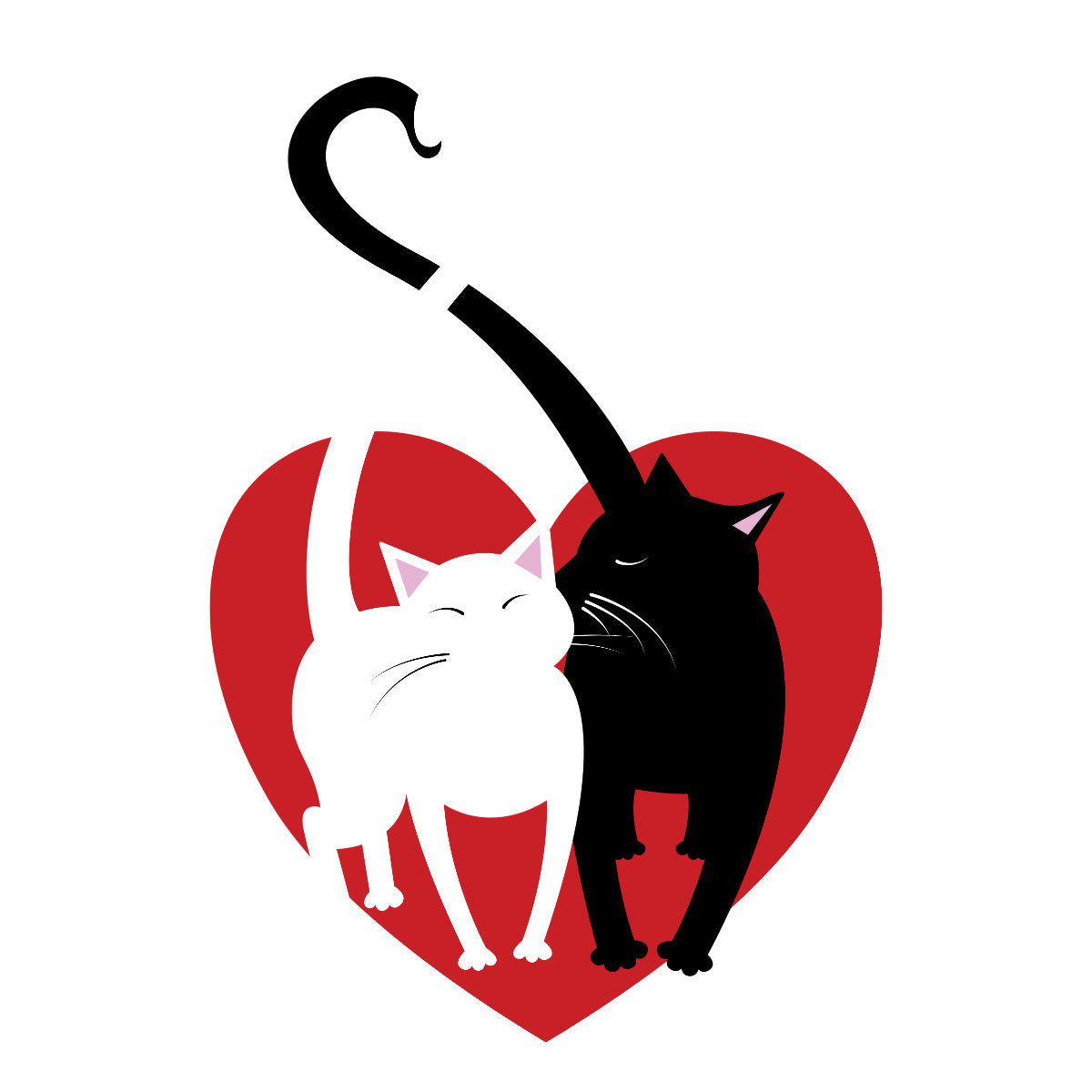 Valged kapuutsita dressipluusid paaridele „Kassipoegade armastus“